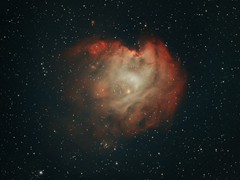 2021-11-28 - 001 - NGC2174