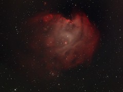 2021-11-29 - 001 - NGC2174