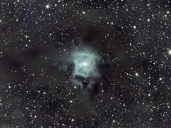 2022-07-29 - 002 - NGC7023 - Iris Nebula